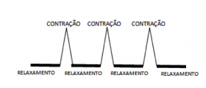 Exercícios Pélvicos 2